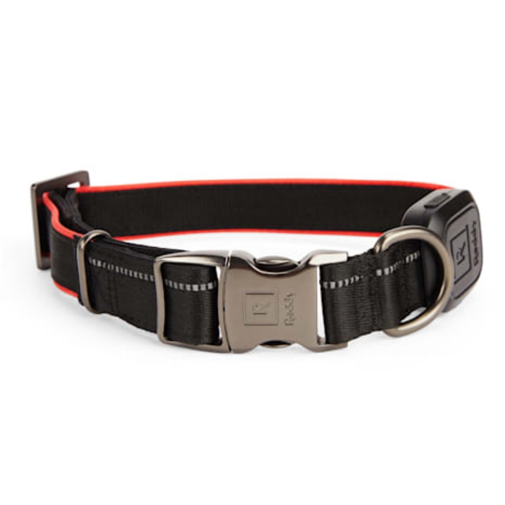 Reddy Red LED Dog Collar-Small